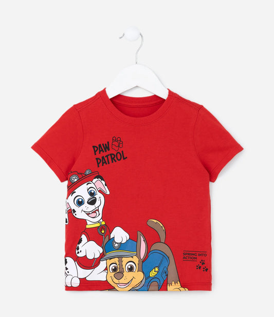 Conjunto paw patrol