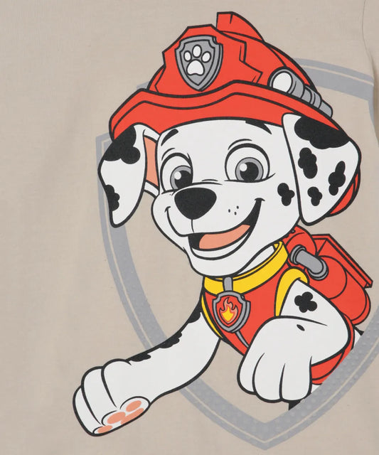 Polera paw patrol