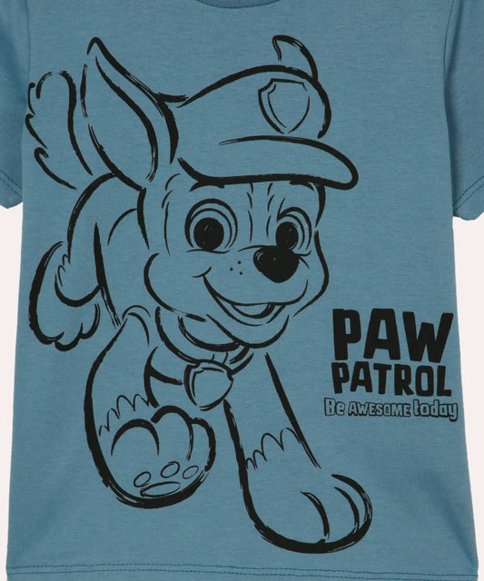 Polera paw patrol