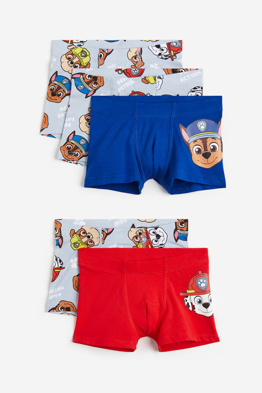 Pack de 5 boxer paw patrol