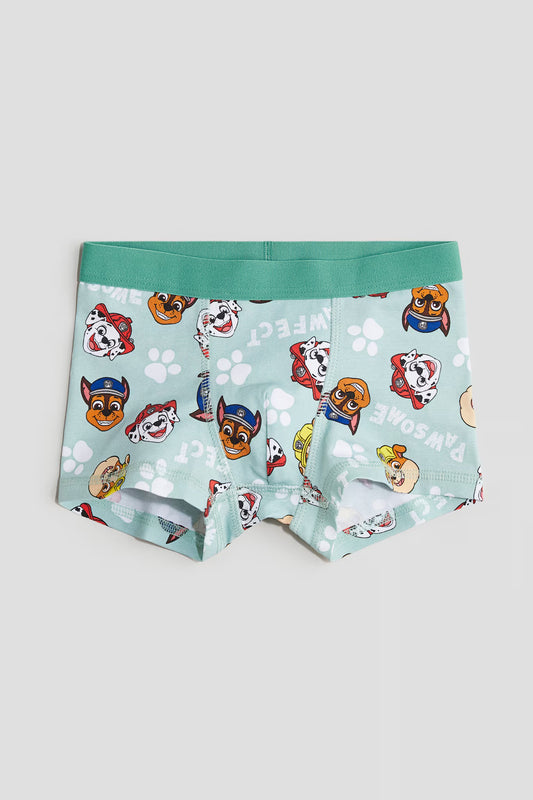 Pack de 5 boxer paw patrol