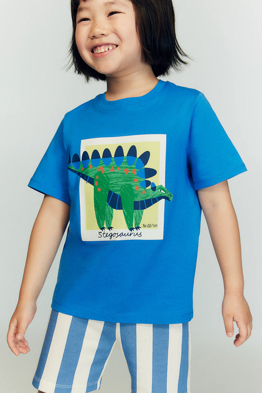 Polera dinosaurio