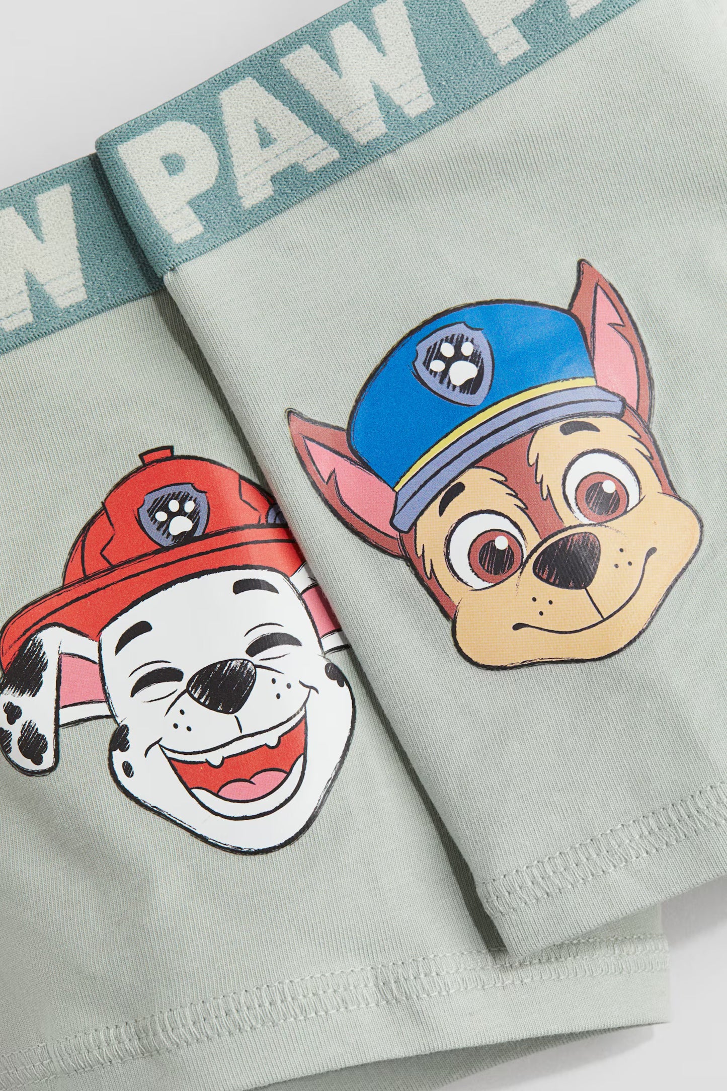 Pack de 5 boxers paw patrol