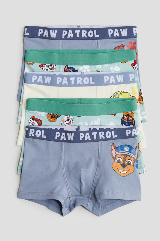 Pack de 5 boxer paw patrol