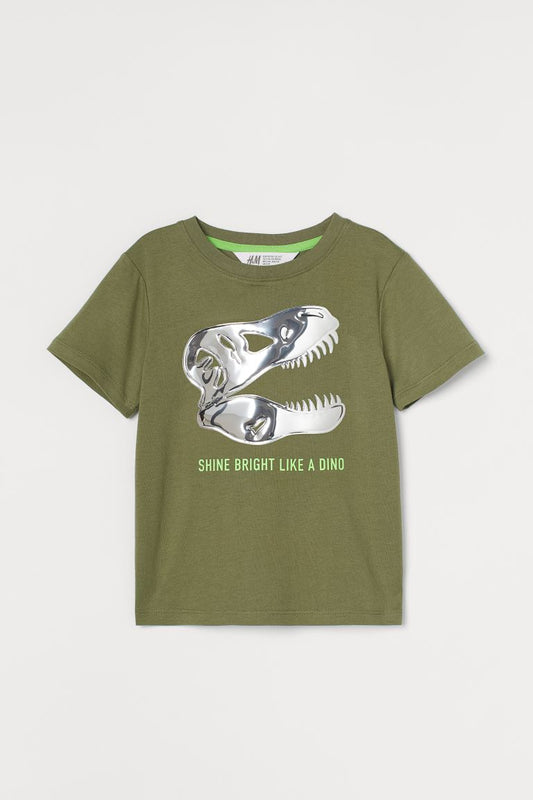 Polera dinosaurio