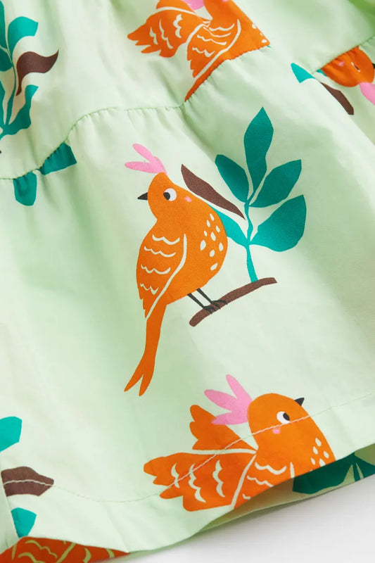 Conjunto pajaros