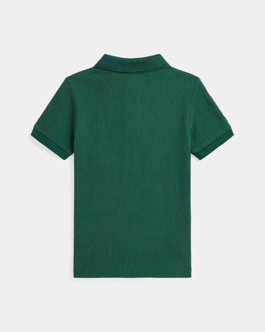 Polo ralph lauren verde big pony