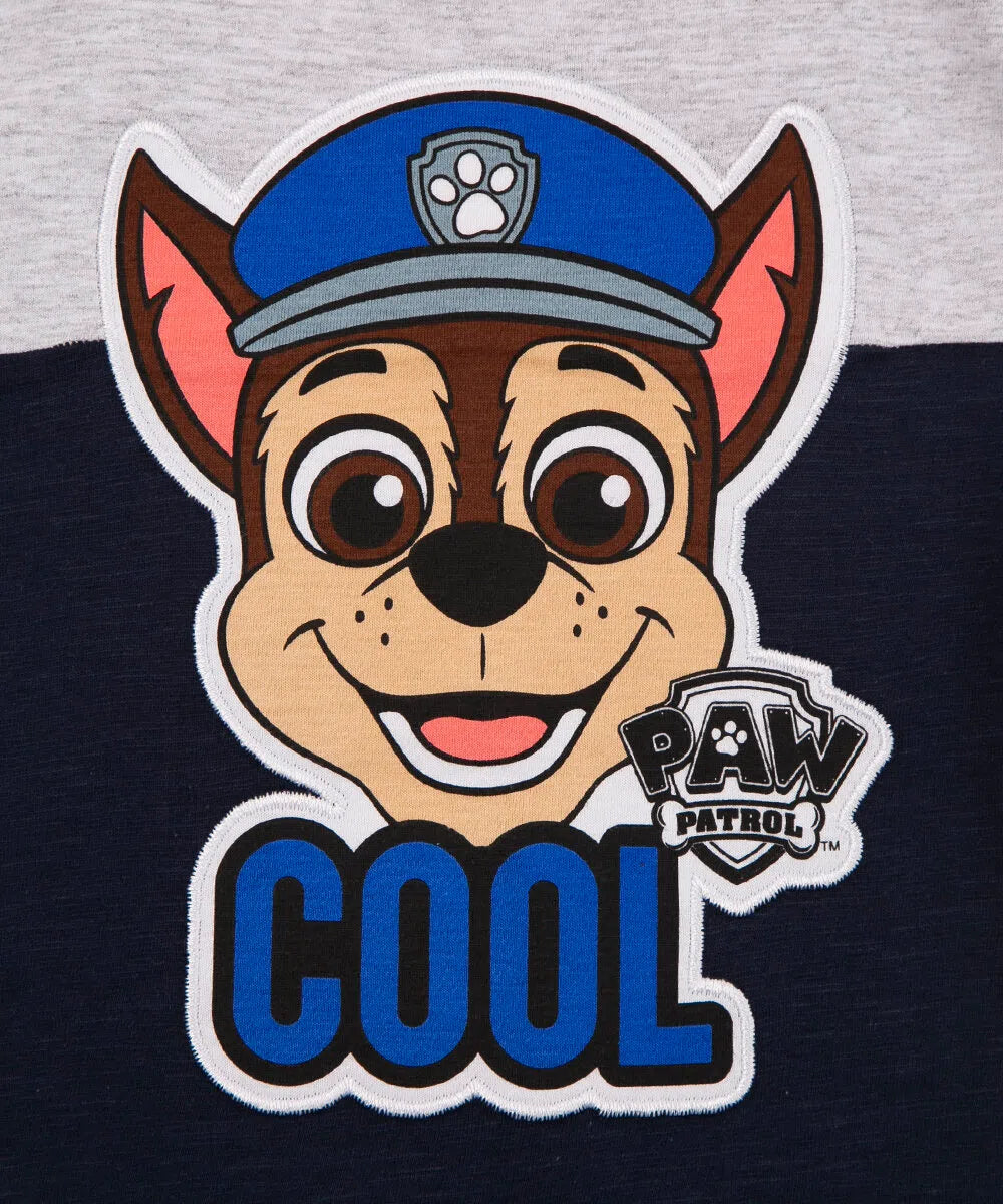 Polera paw patrol cool