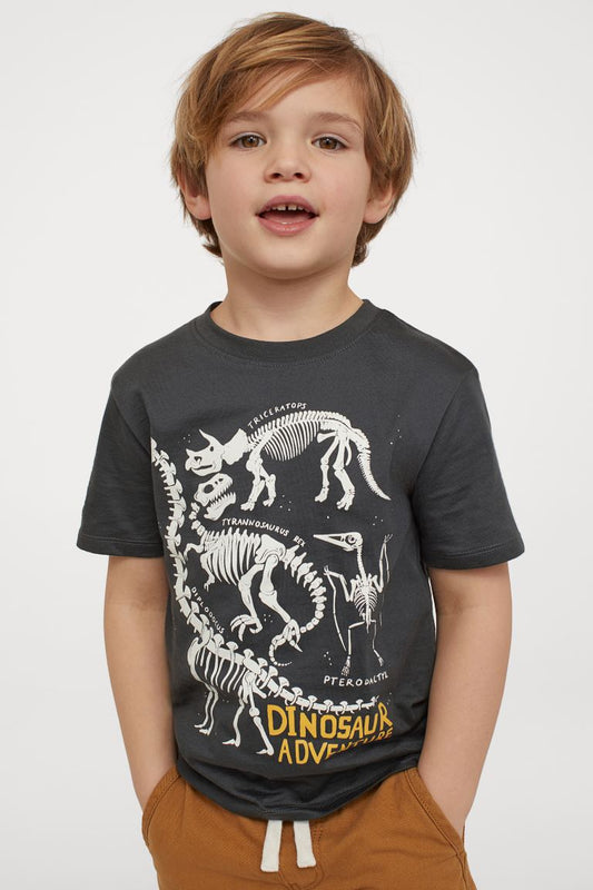 Polera Dinosaurio