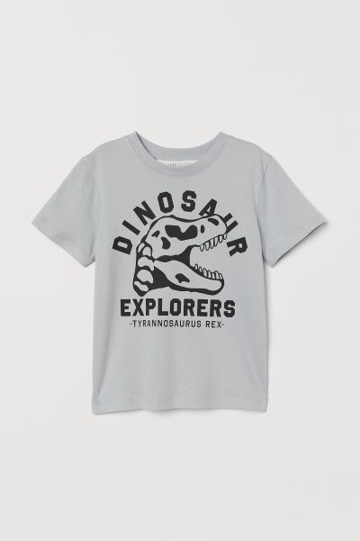 Polera Dinosaurio